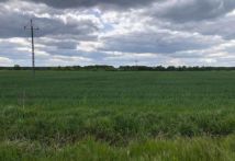 Działka rolna Zielona Góra Zawada