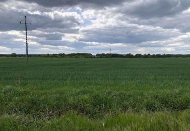 Działka rolna Zielona Góra Zawada