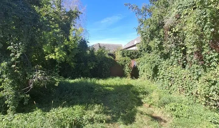 Działka rolno-budowlana Sobiałkowo