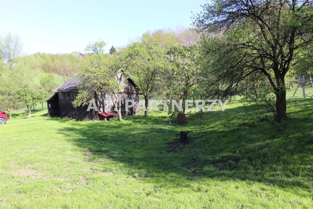 Działka Lednica Górna. Zdjęcie 3