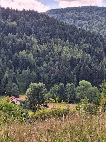 Działka Sopotnia Wielka. Zdjęcie 3