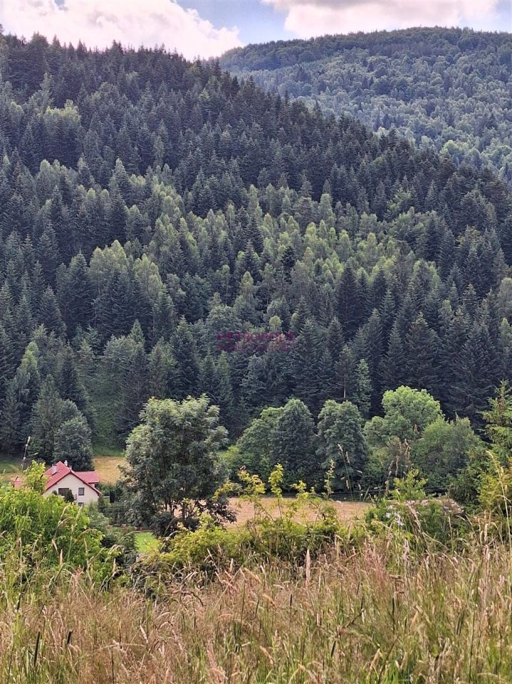 Działka Sopotnia Wielka. Zdjęcie 3