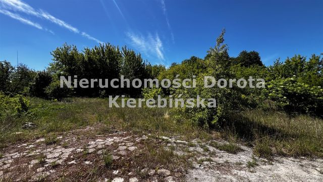 Działka inwestycyjna Tomaszów Mazowiecki, ul. Piaskowa. Zdjęcie 5
