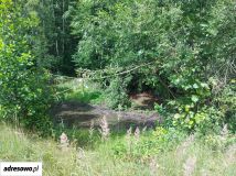 Działka inna Wiluki. Zdjęcie 2
