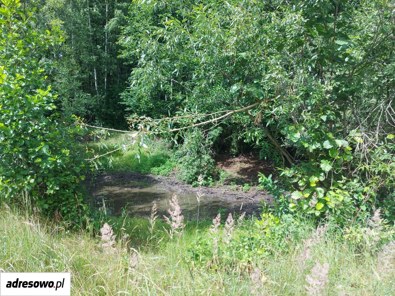 Działka inna Wiluki. Zdjęcie 3