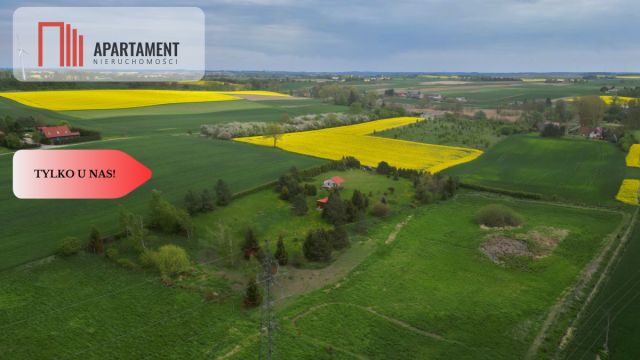 Działka budowlana Koniecwałd. Zdjęcie 1
