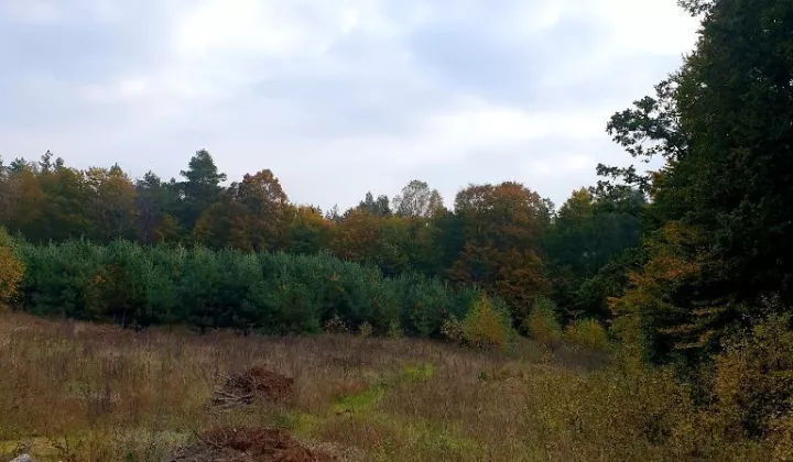 Działka rekreacyjna Grabówko, ul. Piaskowa