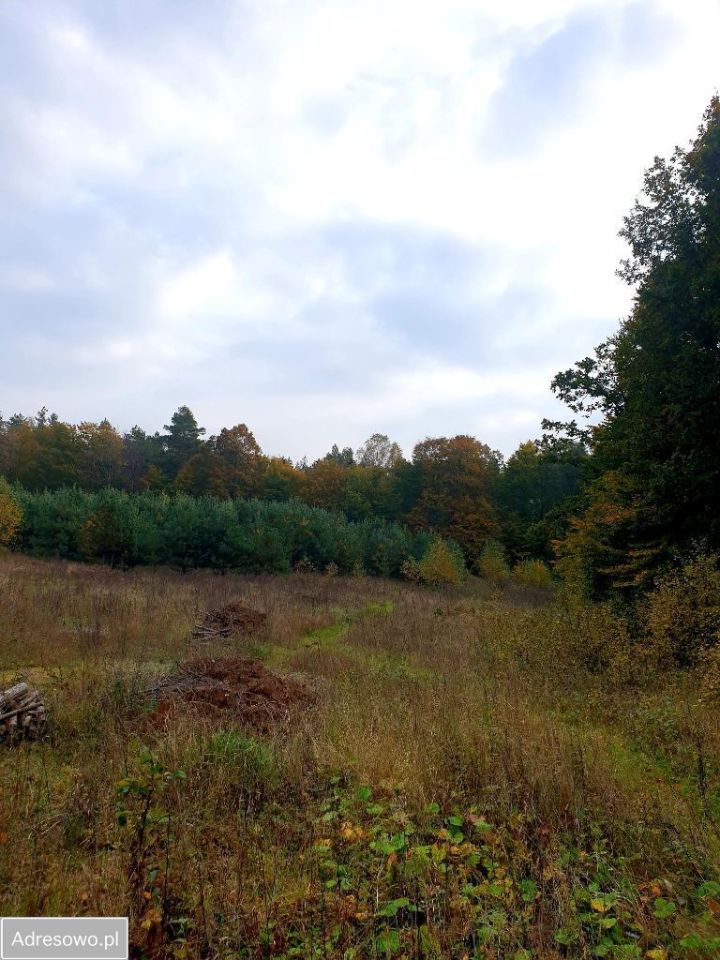 Działka rekreacyjna Grabówko, ul. Piaskowa
