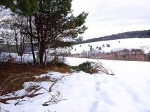 Działka rolna Brzuska. Zdjęcie 1