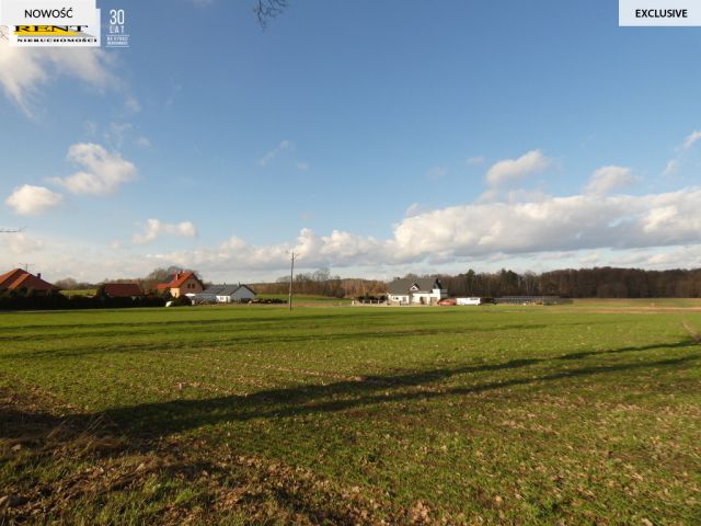 Działka budowlana Budno. Zdjęcie 2