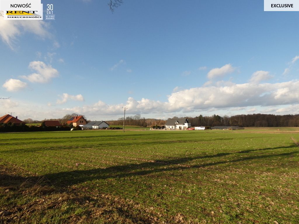 Działka budowlana Budno. Zdjęcie 2