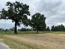 Działka rolno-budowlana Boleszkowice