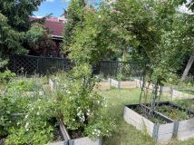 Działka rod Warszawa Praga-Południe, ul. Perkuna. Zdjęcie 4