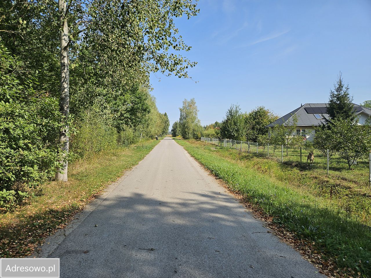 Działka budowlana Miedniewice. Zdjęcie 9