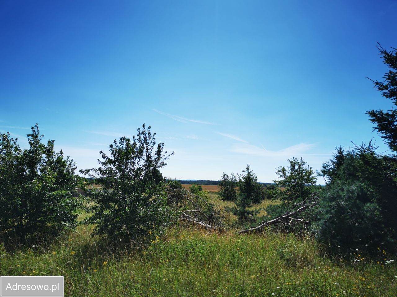 Działka budowlana Zajączkowo, ul. Brzozowa. Zdjęcie 6