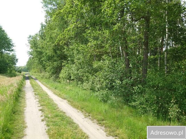 Działka siedliskowa Teklin