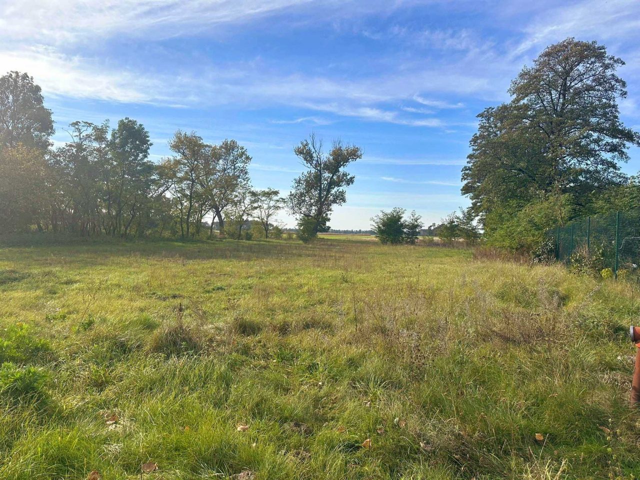 Działka rolna Cichmiana. Zdjęcie 7