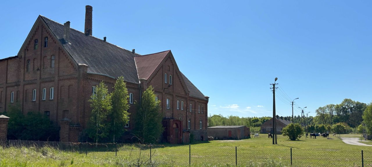 gospodarstwo Brzezinki