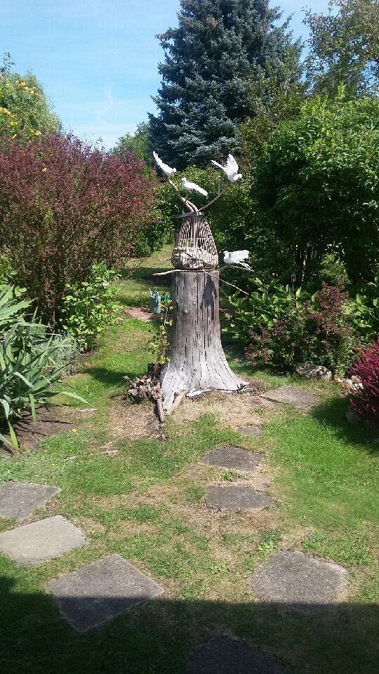 Działka rod Warszawa Targówek, ul. Janowiecka. Zdjęcie 5