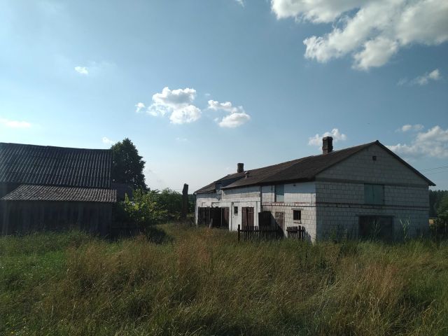 Działka siedliskowa Jedlina. Zdjęcie 1