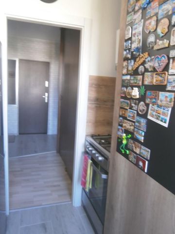 Mieszkanie 1-pokojowe Zielona Góra Centrum. Zdjęcie 8