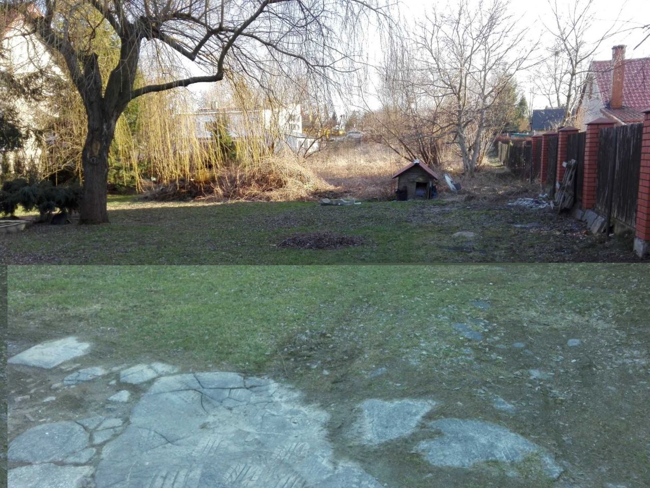 Działka siedliskowa Dębówka. Zdjęcie 3