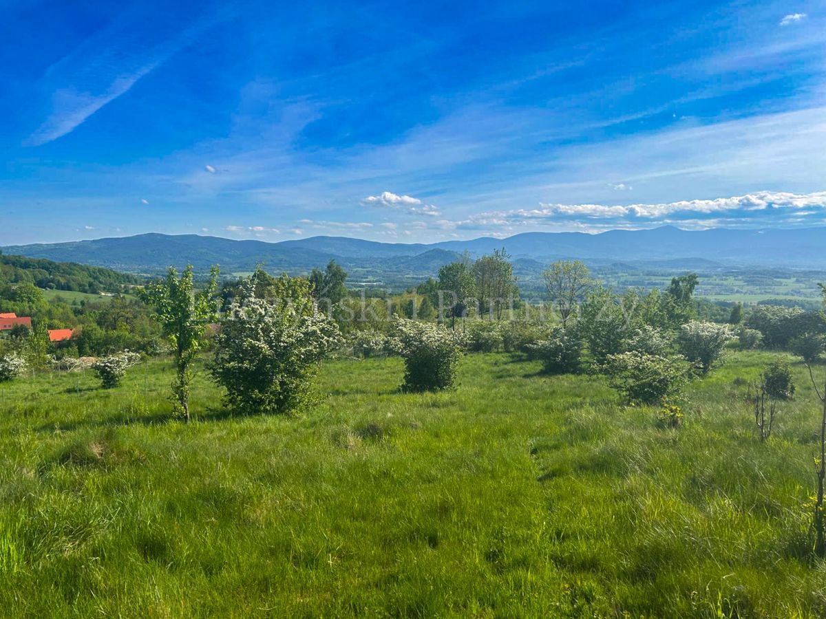 Działka inwestycyjna Komarno. Zdjęcie 8