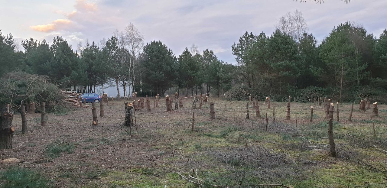 Działka budowlana Skórka. Zdjęcie 1