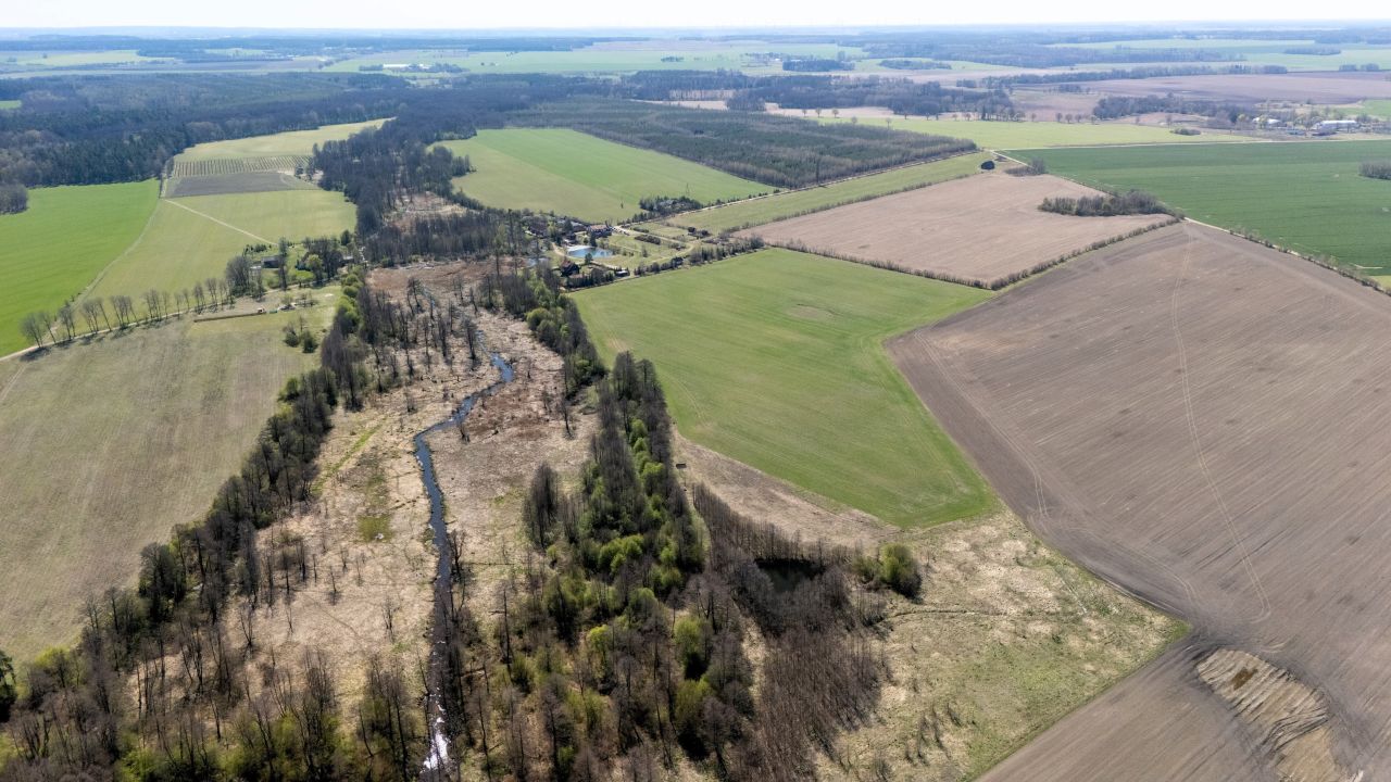 Działka rolno-budowlana Gołębiewo. Zdjęcie 4