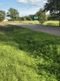 Działka rolno-budowlana Żochowo. Zdjęcie 2