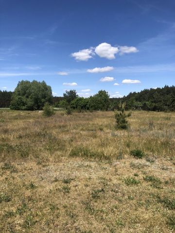 Działka budowlana Żołędowo. Zdjęcie 1