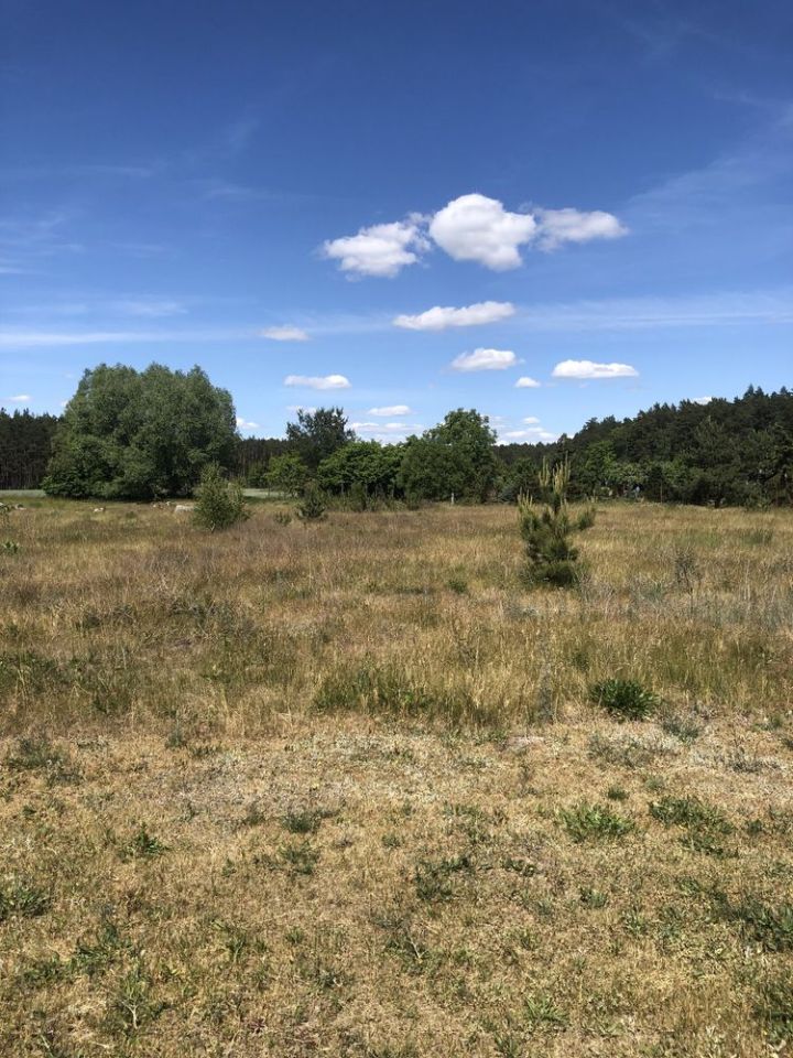 Działka budowlana Żołędowo