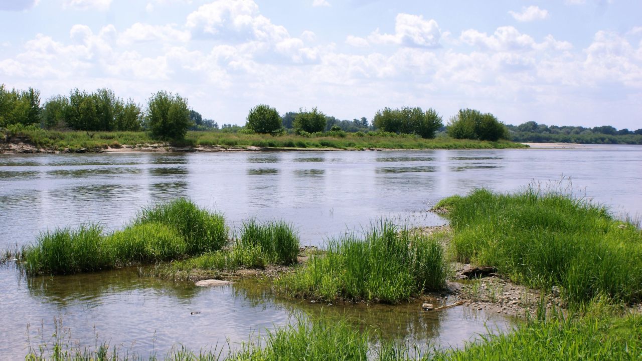 Działka budowlana Wygoda Smoszewska. Zdjęcie 7