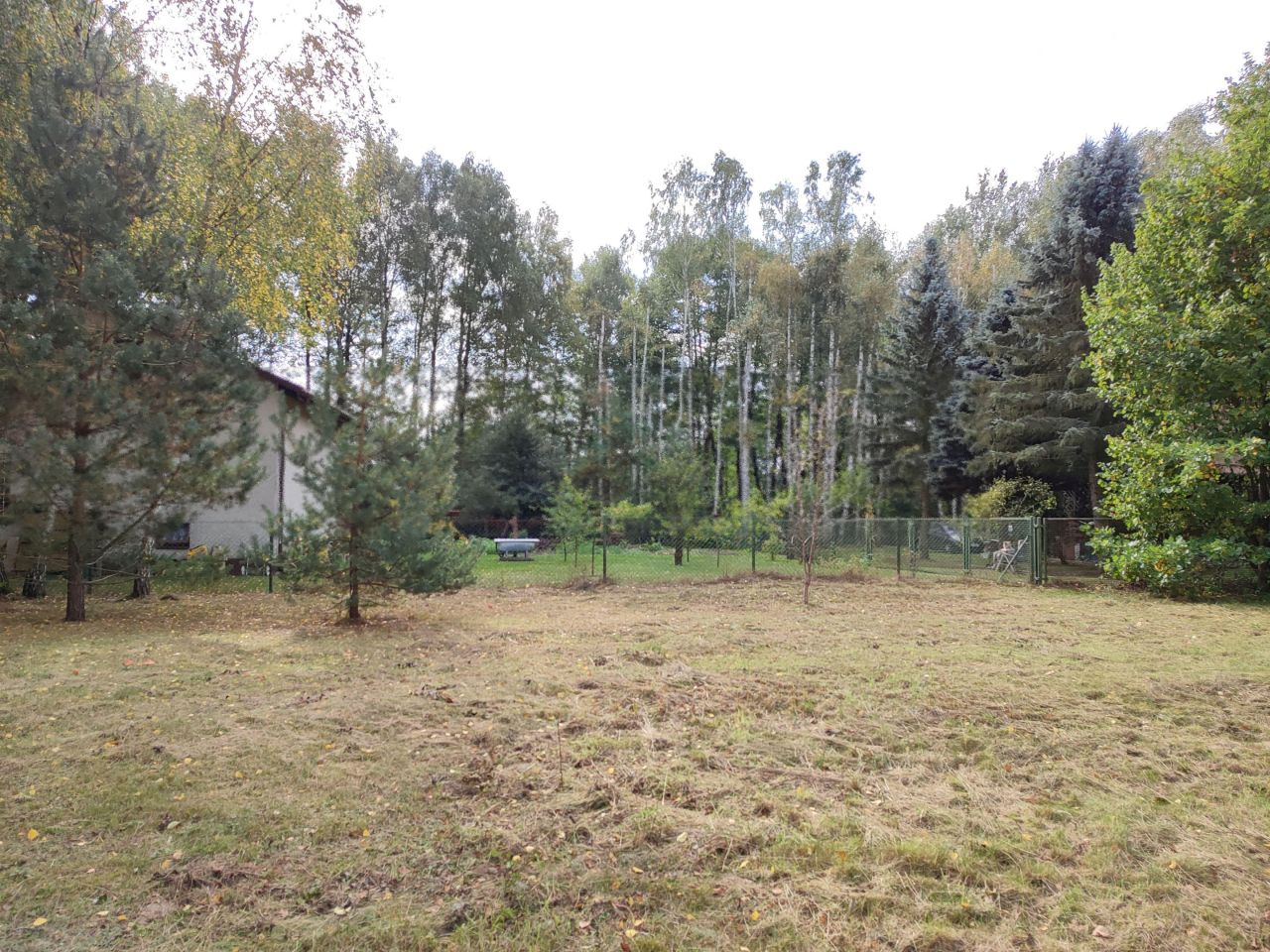 Działka budowlana Marylka, ul. Sosny. Zdjęcie 2