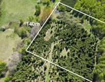 Działka rolna Kabikiejmy. Zdjęcie 4