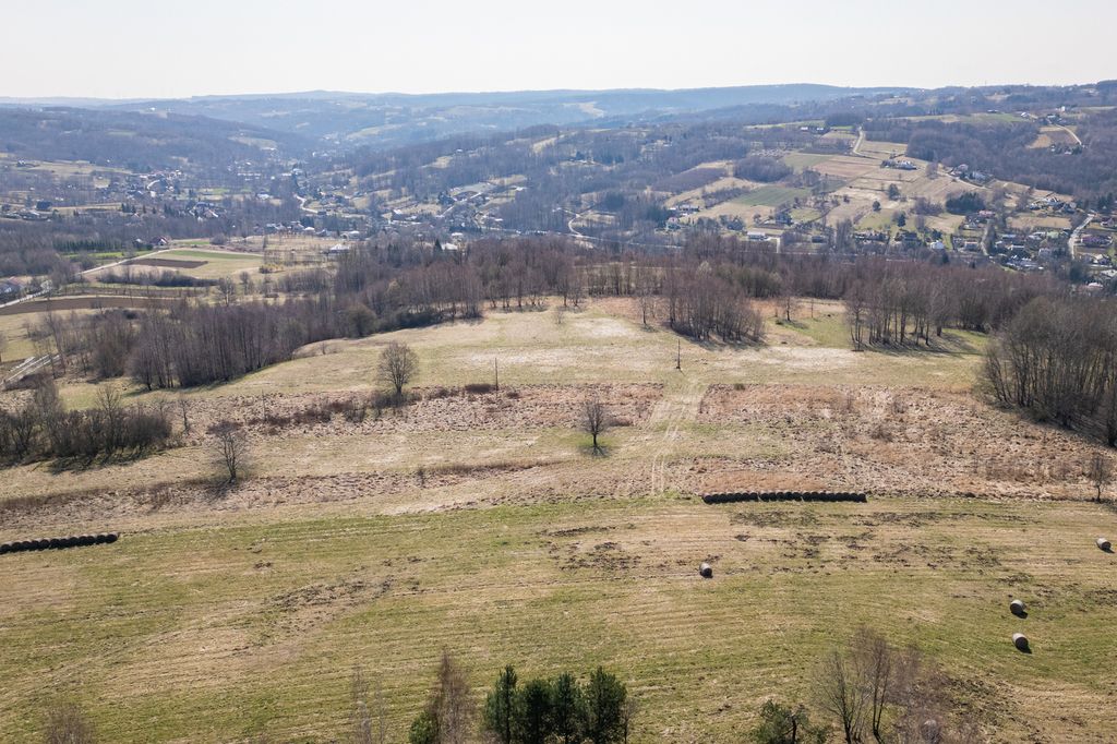 Działka Lubenia. Zdjęcie 3