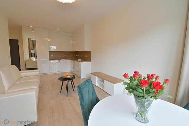 Mieszkanie 2-pokojowe Wrocław Stare Miasto, ul. Księcia Witolda. Zdjęcie 4