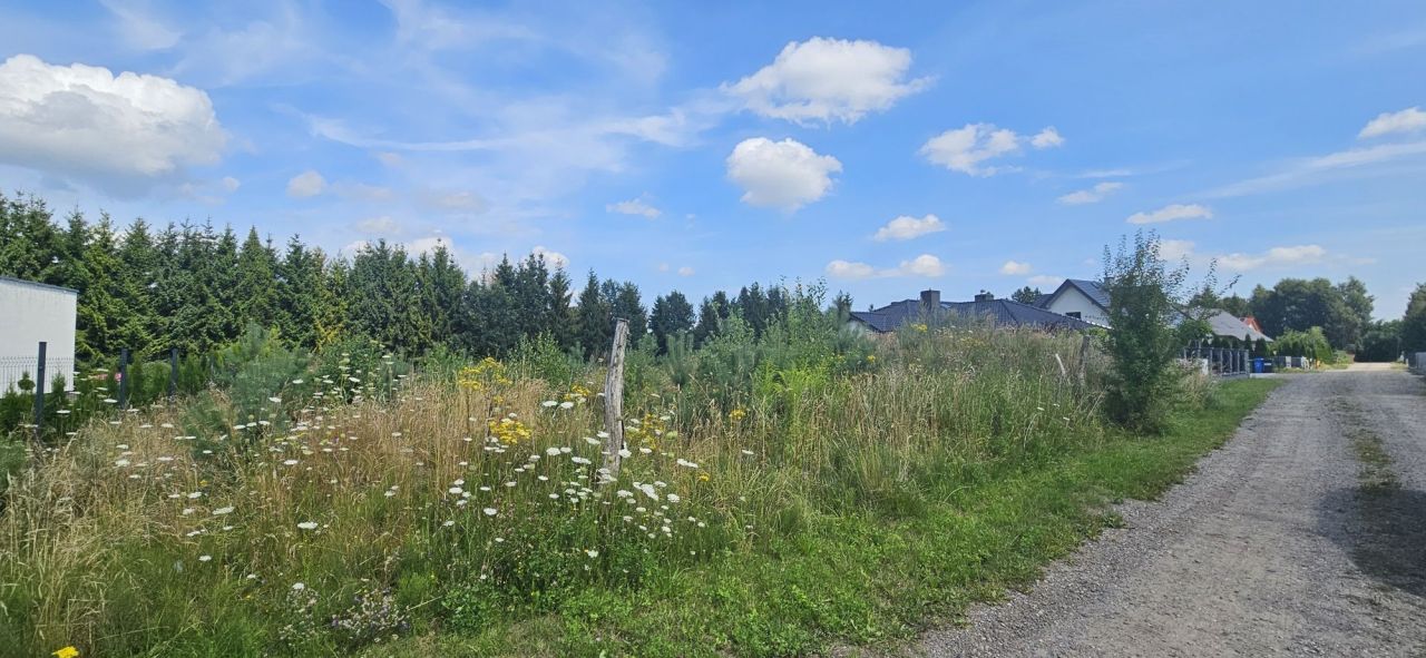 Działka budowlana Turowo, ul. Spokojna. Zdjęcie 6