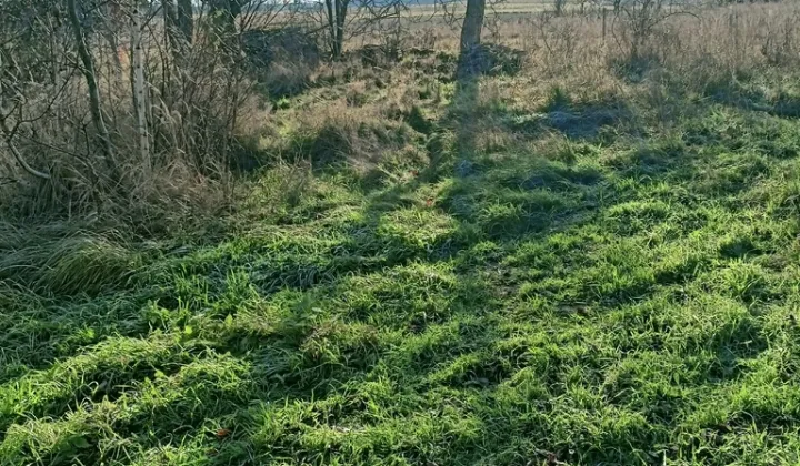 Działka budowlana Drożków