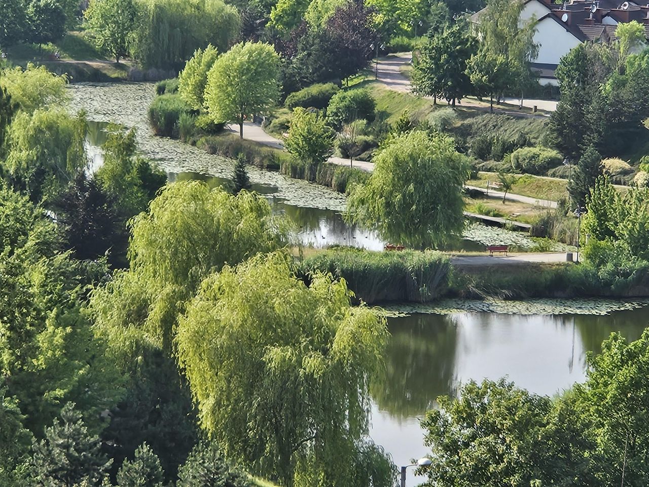 Mieszkanie 2-pokojowe Chorzów Centrum, ul. Boczna. Zdjęcie 13