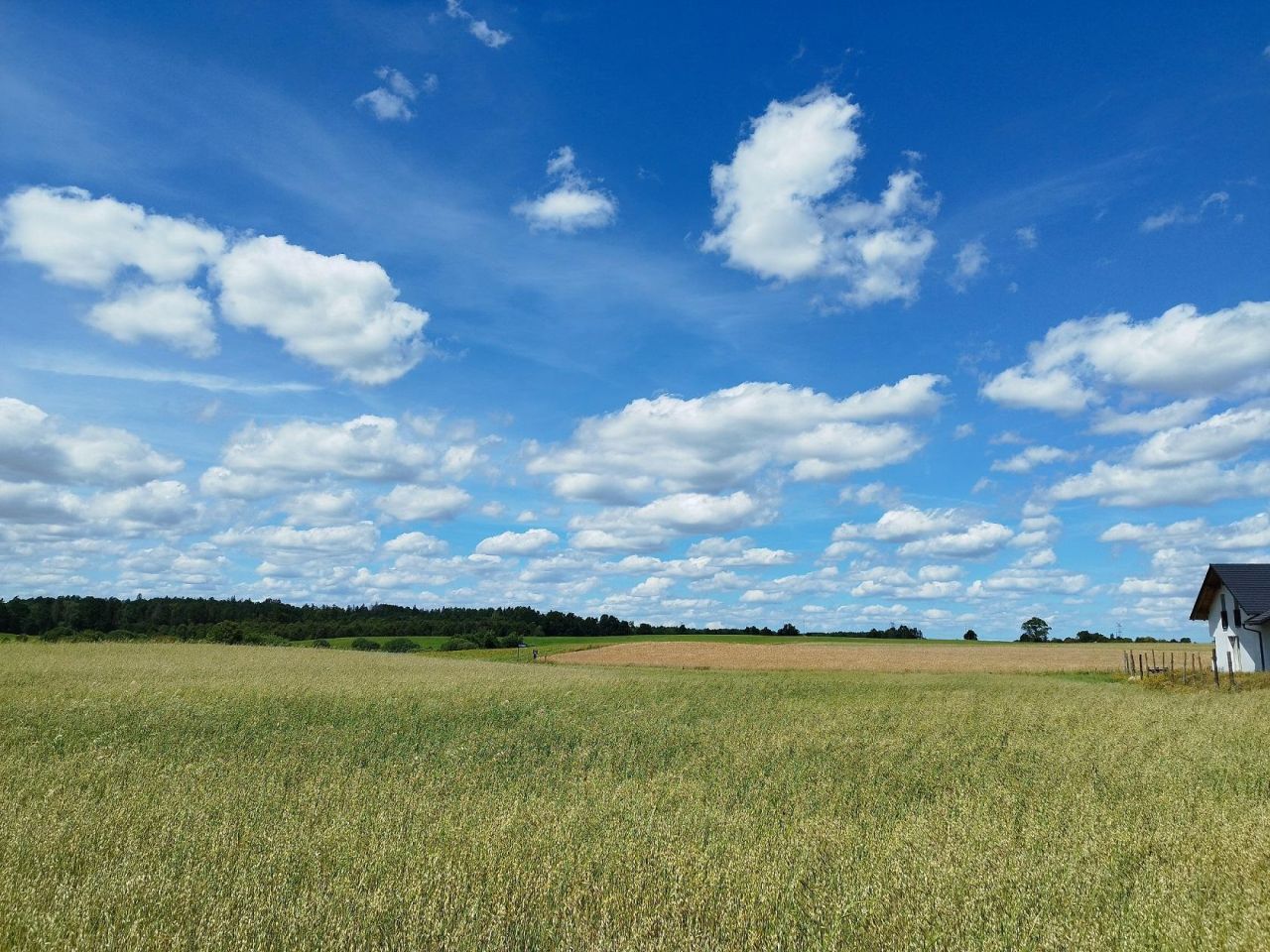 Działka budowlana Małkowo