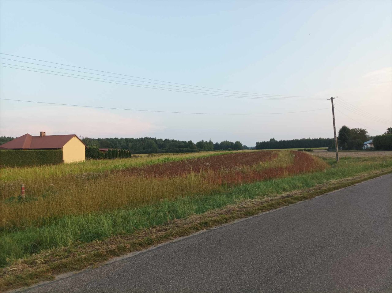 Działka budowlana Lubaczów, ul. Przemysłowa. Zdjęcie 3