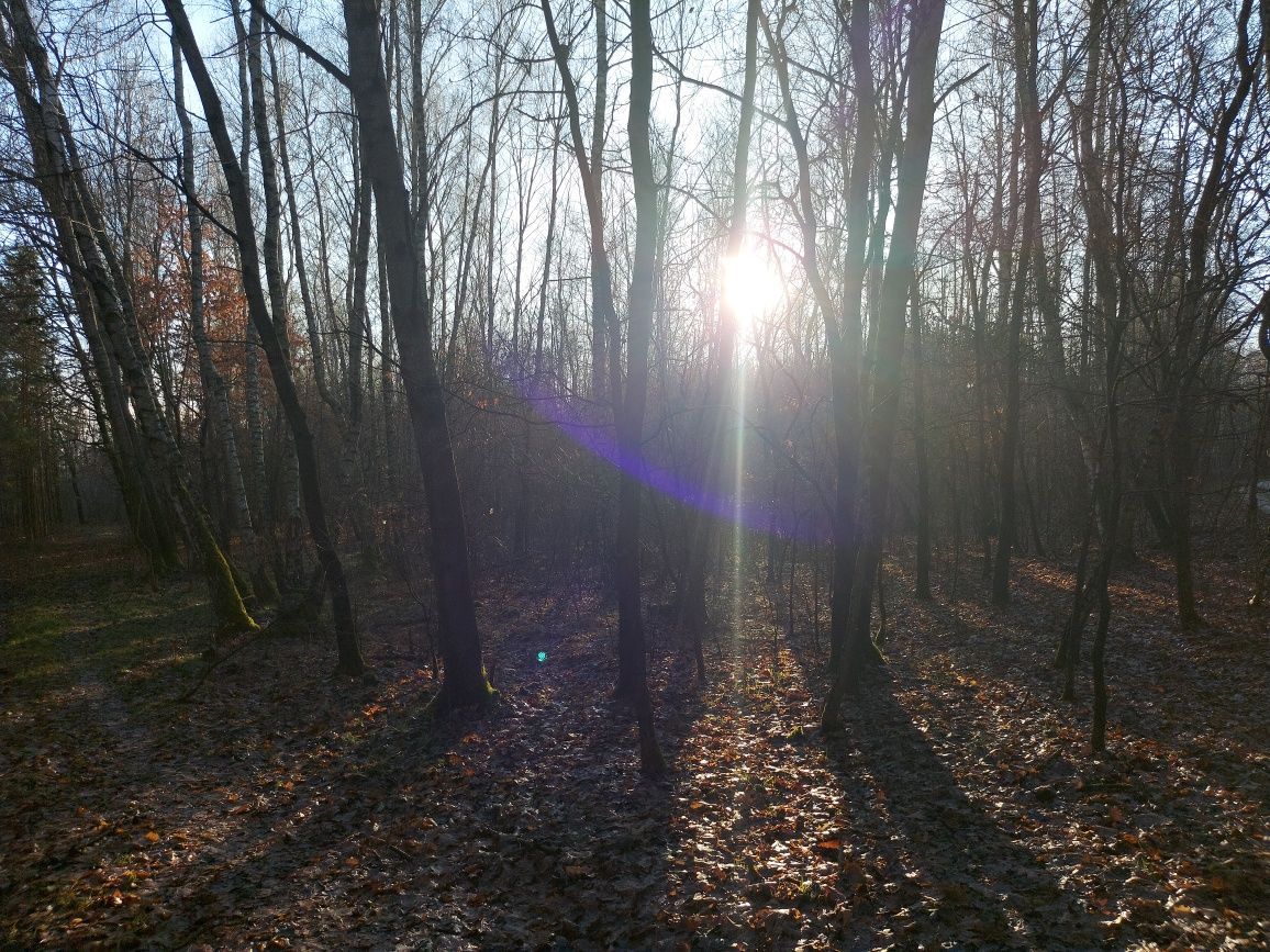 Działka leśna Breń Osuchowski