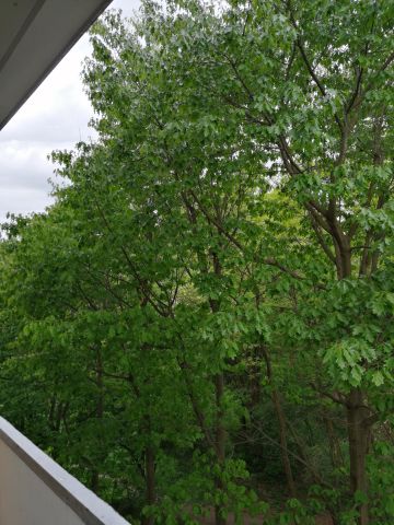 Mieszkanie 2-pokojowe Warszawa Wola, ul. Przy Lasku. Zdjęcie 1