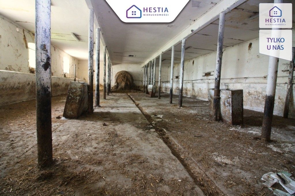 Hala/magazyn Kurcewo. Zdjęcie 6