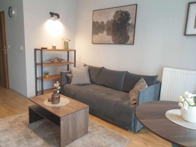 Mieszkanie 1-pokojowe Katowice Śródmieście, ul. Zabrska. Zdjęcie 1