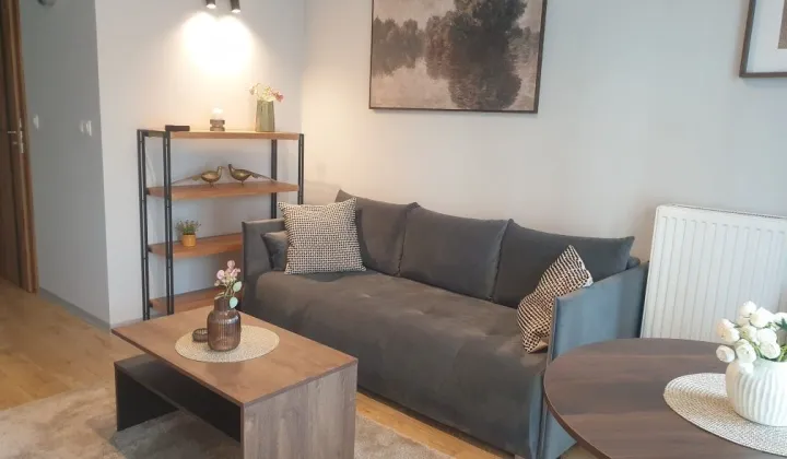 Mieszkanie 1-pokojowe Katowice Śródmieście, ul. Zabrska