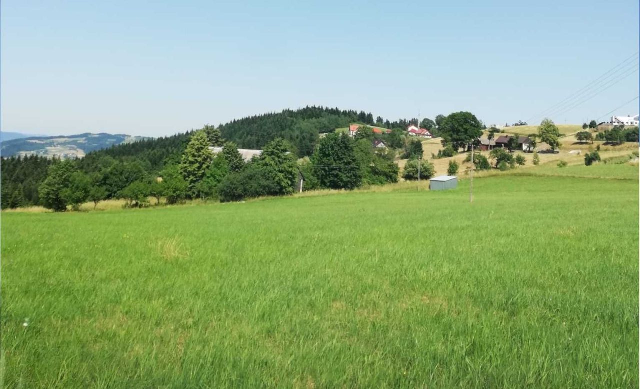 Działka budowlana Wysokie. Zdjęcie 4