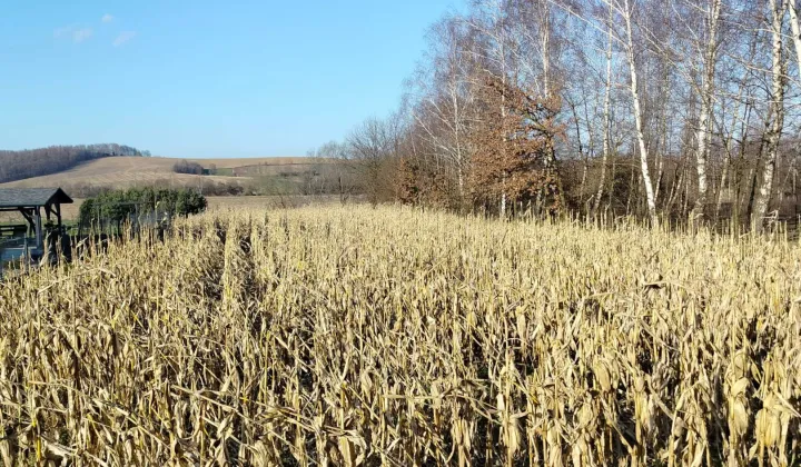 Działka budowlana Liplas