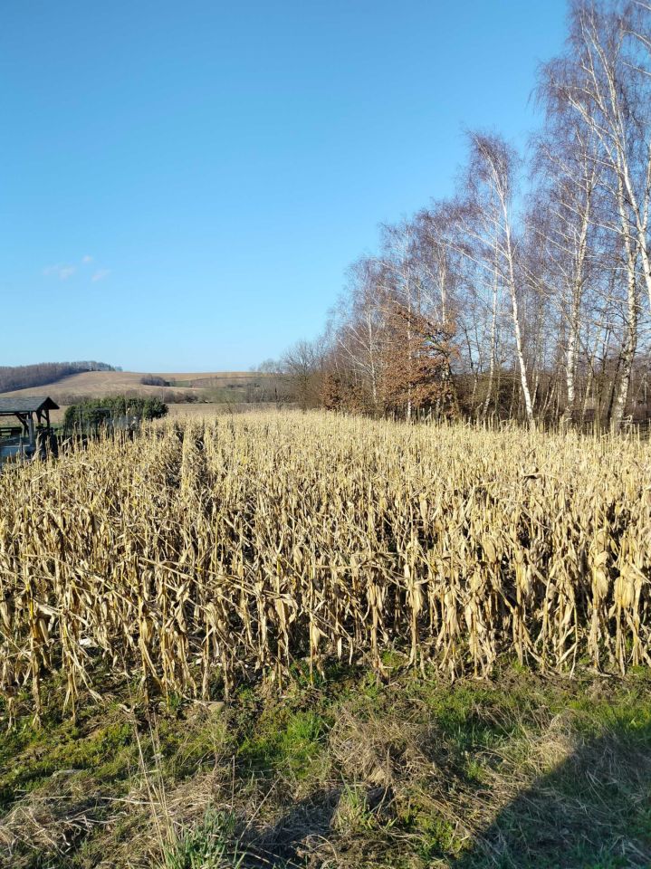 Działka budowlana Liplas. Zdjęcie 1